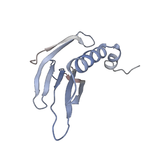 8709_5vlz_EB_v1-4
Backbone model for phage Qbeta capsid