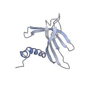 8709_5vlz_EC_v1-4
Backbone model for phage Qbeta capsid