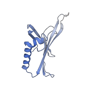 8709_5vlz_EE_v1-4
Backbone model for phage Qbeta capsid