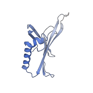 8709_5vlz_EE_v1-5
Backbone model for phage Qbeta capsid