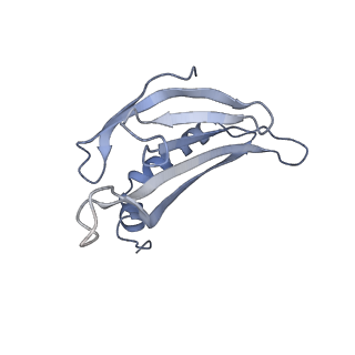 8709_5vlz_EG_v1-4
Backbone model for phage Qbeta capsid