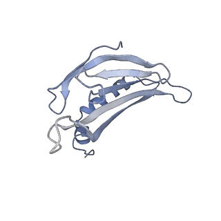 8709_5vlz_EG_v1-5
Backbone model for phage Qbeta capsid