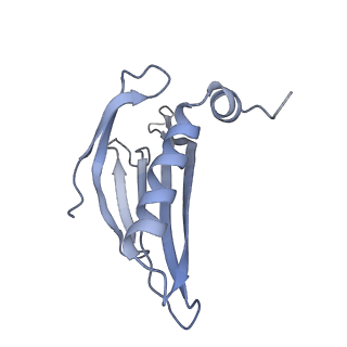 8709_5vlz_EH_v1-4
Backbone model for phage Qbeta capsid