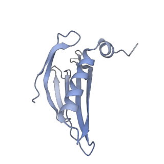 8709_5vlz_EH_v1-5
Backbone model for phage Qbeta capsid