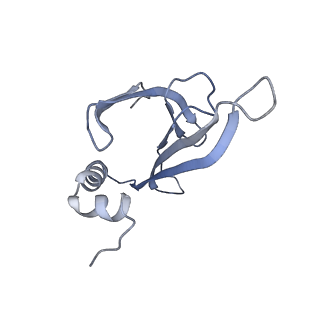 8709_5vlz_EK_v1-4
Backbone model for phage Qbeta capsid