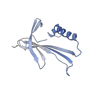 8709_5vlz_EL_v1-4
Backbone model for phage Qbeta capsid