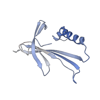 8709_5vlz_EL_v1-5
Backbone model for phage Qbeta capsid