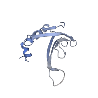 8709_5vlz_EM_v1-4
Backbone model for phage Qbeta capsid