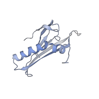 8709_5vlz_EN_v1-5
Backbone model for phage Qbeta capsid