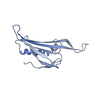 8709_5vlz_FA_v1-5
Backbone model for phage Qbeta capsid