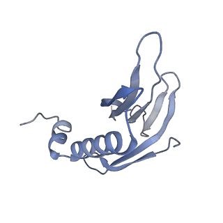 8709_5vlz_FC_v1-4
Backbone model for phage Qbeta capsid