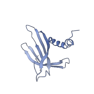 8709_5vlz_FD_v1-4
Backbone model for phage Qbeta capsid