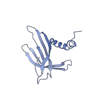 8709_5vlz_FD_v1-5
Backbone model for phage Qbeta capsid