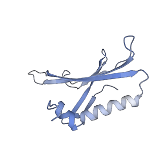 8709_5vlz_FE_v1-4
Backbone model for phage Qbeta capsid