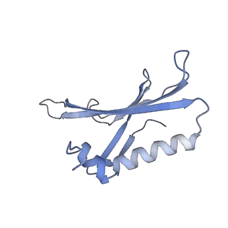 8709_5vlz_FE_v1-5
Backbone model for phage Qbeta capsid