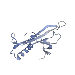 8709_5vlz_FF_v1-5
Backbone model for phage Qbeta capsid