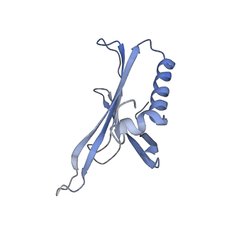 8709_5vlz_FH_v1-4
Backbone model for phage Qbeta capsid