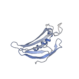 8709_5vlz_FJ_v1-4
Backbone model for phage Qbeta capsid