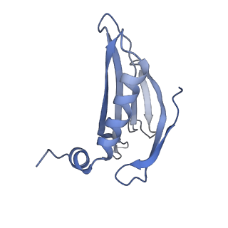 8709_5vlz_FK_v1-4
Backbone model for phage Qbeta capsid