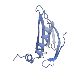 8709_5vlz_FK_v1-5
Backbone model for phage Qbeta capsid