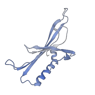 8709_5vlz_FL_v1-4
Backbone model for phage Qbeta capsid