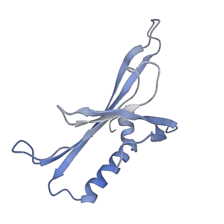 8709_5vlz_FL_v1-5
Backbone model for phage Qbeta capsid