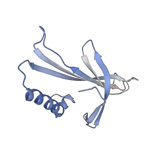8709_5vlz_FN_v1-4
Backbone model for phage Qbeta capsid