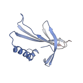 8709_5vlz_FN_v1-5
Backbone model for phage Qbeta capsid