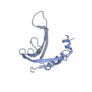 8709_5vlz_GA_v1-5
Backbone model for phage Qbeta capsid