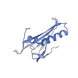 8709_5vlz_GB_v1-4
Backbone model for phage Qbeta capsid