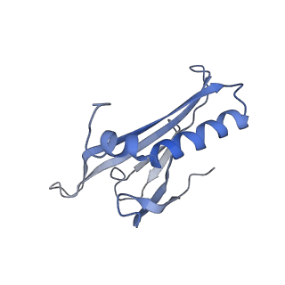 8709_5vlz_GB_v1-5
Backbone model for phage Qbeta capsid