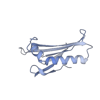 8709_5vlz_GC_v1-4
Backbone model for phage Qbeta capsid