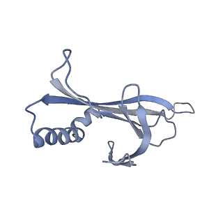 8709_5vlz_GE_v1-4
Backbone model for phage Qbeta capsid