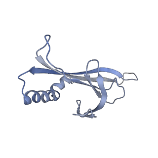 8709_5vlz_GE_v1-5
Backbone model for phage Qbeta capsid