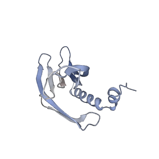 8709_5vlz_GF_v1-4
Backbone model for phage Qbeta capsid