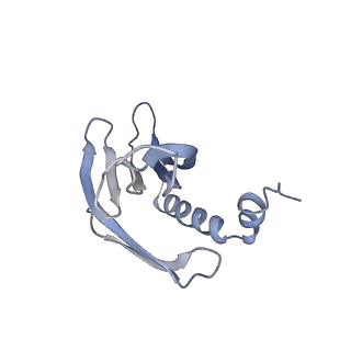 8709_5vlz_GF_v1-5
Backbone model for phage Qbeta capsid