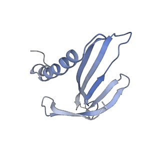 8709_5vlz_GG_v1-5
Backbone model for phage Qbeta capsid