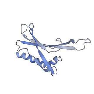 8709_5vlz_GH_v1-4
Backbone model for phage Qbeta capsid