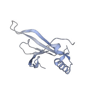 8709_5vlz_GI_v1-5
Backbone model for phage Qbeta capsid