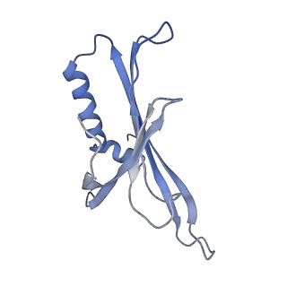 8709_5vlz_GJ_v1-4
Backbone model for phage Qbeta capsid