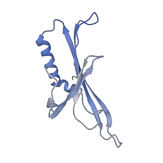 8709_5vlz_GJ_v1-5
Backbone model for phage Qbeta capsid