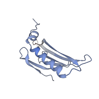 8709_5vlz_GL_v1-4
Backbone model for phage Qbeta capsid