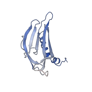 8709_5vlz_GM_v1-4
Backbone model for phage Qbeta capsid