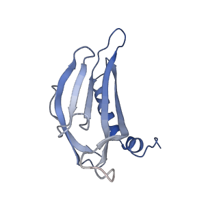 8709_5vlz_GM_v1-5
Backbone model for phage Qbeta capsid