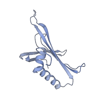 8709_5vlz_GN_v1-4
Backbone model for phage Qbeta capsid
