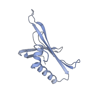 8709_5vlz_GN_v1-5
Backbone model for phage Qbeta capsid