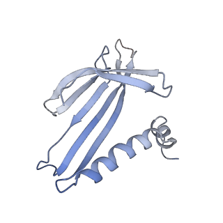 8709_5vlz_HG_v1-5
Backbone model for phage Qbeta capsid