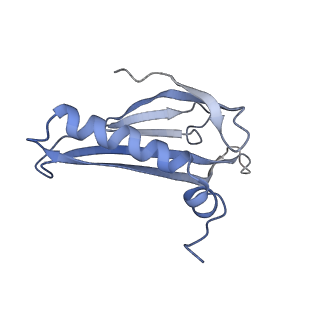 8709_5vlz_HI_v1-5
Backbone model for phage Qbeta capsid