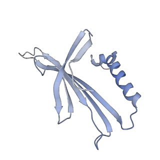 8709_5vlz_HJ_v1-4
Backbone model for phage Qbeta capsid