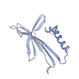 8709_5vlz_HJ_v1-5
Backbone model for phage Qbeta capsid